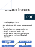 Exogenic Processes