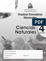 Pruebas Formativas de CC NN de 4 Grado