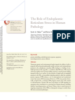 Scott A. Oakes and Feroz R. Papa Peranan RE Pada Kondisi Patologis