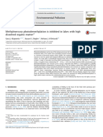 Methylmercury Photodemethylation Is Inhibited in Lakes