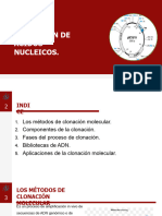 Tema 7 Clonación de An