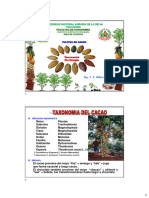 Tema 2 Taxonomia y Morfologia Cacao