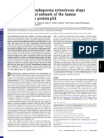Species-Specific Endogenous Retroviruses Shape The Transcriptional Network of The Human Tumor Suppressor Protein p53