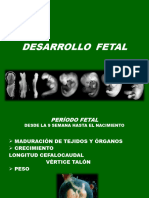 Teoria 4 Desarrollo Fetal