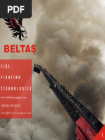 BELTAS Company Brochure