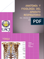 AnatomÍa y Fisiología Del Aparato Respiratorio