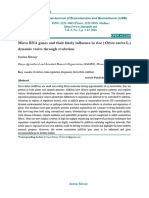 Micro RNA Genes and Their Likely Influence in Rice (Oryza Sativa L.) Dynamic Traits Through Evolution