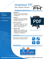 Flyer fh2 Eu Es