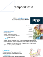 6.infratemporal Fossa