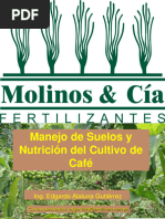 Nutrición Del Cafe