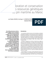 Exploration Et Conservation Des Ressources Genetiques Du Pin Maritime Au Maroc