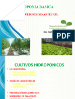 Curso Hidroponia Basica