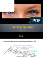 11 Biofisica Da Visao4