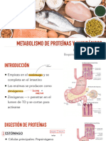 Metabolismo de Proteínas