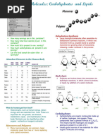 Carbohydrates and Lipids