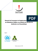 Format - Manual de Direito Ambiental para Magistrados - 26-08-2020