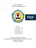 Laporan Praktikum Hati Ayam