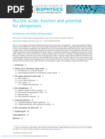 Nucleic Acids Function and Potential For Abiogenesis