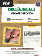 ODONTOSECCIÓN