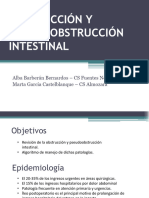 Obstrucción Y Pseudoobstrucción Intestinal