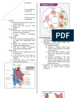 Anatomy of The Heart & Its Valves