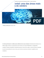 Córtex Pré-Frontal - Uma Das Áreas Mais Interessantes Do Cérebro - A Mente É Maravilhosa