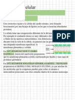 Biología Tema 2