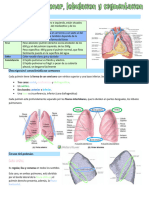 Anatomía Pulmonar - 19 Abril 2023 - Dr. Chávez