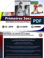 PDF Slides Curso Ps Lei Lucas 2023 Versao para Os Alunos