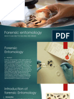 Forensic Entomology 2