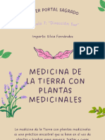 Plantas Medicinales y Sahumas