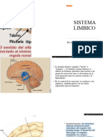 Sistema Limbico