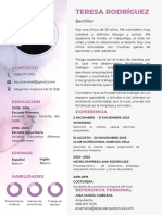 Curriculum Vitae Hoja de Vida CV Minimalista Azul y Gris