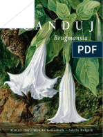 HUANDUJ Brugmansia Spreads