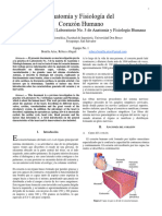 Investigacion Previa Práctica No. 3: Anatomía y Fisiología Del Corazón Humano