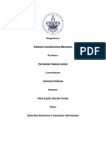 Trabajo Final Sistema