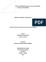 Documento TESIS e Coli