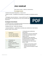 Cateterismo Vesical (Anotações de Aula)