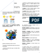 Sistema Terra e Subsistemas Terrestres