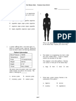 Human Body EOG Review