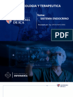 Sistema Endocrino