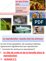 Cours La Reproduction Chez Les Animaux 2019-1