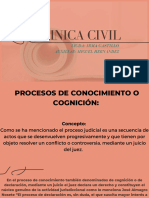 Civil Presentación 11