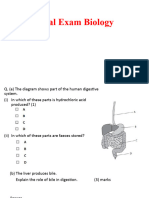 Final Exam Practise