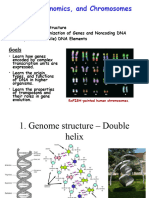 Lecture 1 - Genes and Genomics