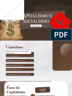 Capitalismo e Socialismo