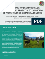 Cã - Ctel de Pasturas en El Trã - Pico Alto