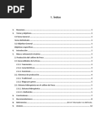 Ejemplo de Informe Técnico