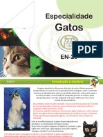 Gatos