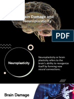 Brain Damage and Neuroplasticity